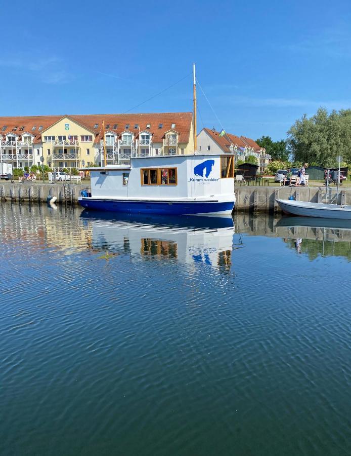 Ferienhaus Ostseestern Villa Insel Poel Exteriör bild